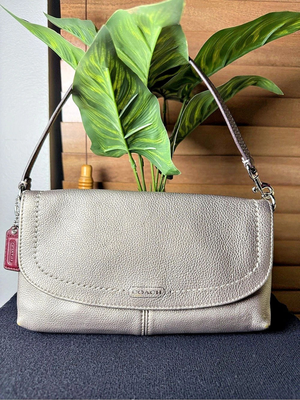Coach Shoulder Bag in Silver